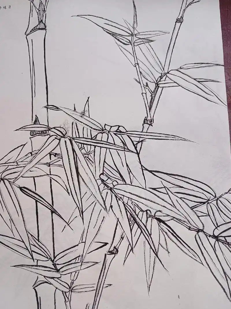 墨竹 #想画就画 #画画使我快乐 #竹子 #黑白线描画 - 抖音