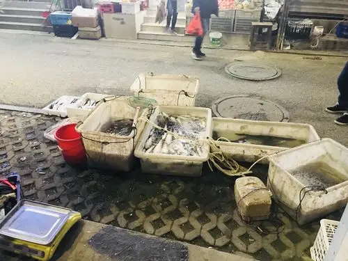 城管呢?这大马路这人行道,是给卖鱼摊的老板承包了吗?