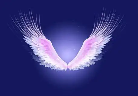 唯美天使翅膀素材,翅膀素材,翅膀素材psd,翅膀图片素材,翅膀素材下载,
