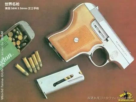 世界名枪图片集锦