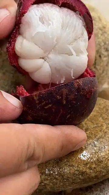 原来山竹也有糖心