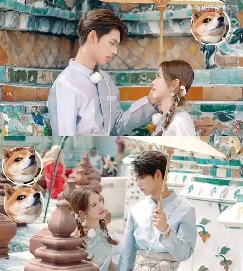 怦然心动20岁惹怒观众!朱朱的泪水和溜粉剧情让人"炸"了!