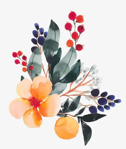 彩色手绘的花朵装饰