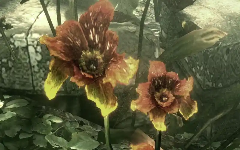 生化危机5始祖病毒源头太阳阶梯始祖花遗迹