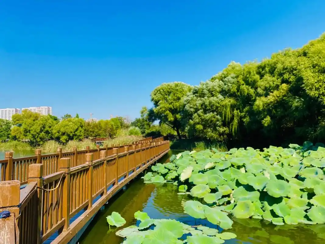 御用摄影师来喽谢谢老公给我留下这么多美好的画面