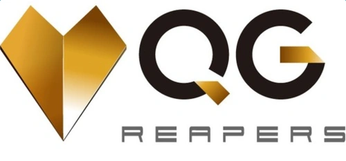 qg战队成员介绍 出自德杯的黑马