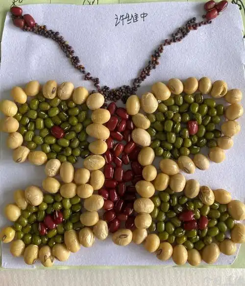 种子贴画--大蝴蝶 | 书画作品 | 今日建德小记者团