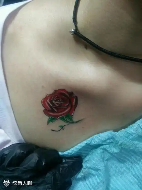 玫瑰_纹身图案手稿图片_太阳-星如的纹身作品集