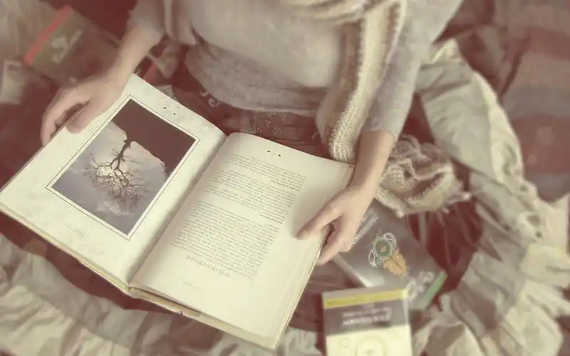 女孩,手,看书,意境,岁月静好,,静物女孩壁纸图片