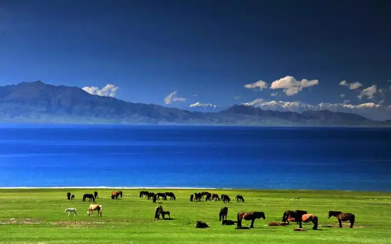 赛里木湖,古称"净海",位于中国新疆博尔塔拉州博乐市境内的北天山山脉