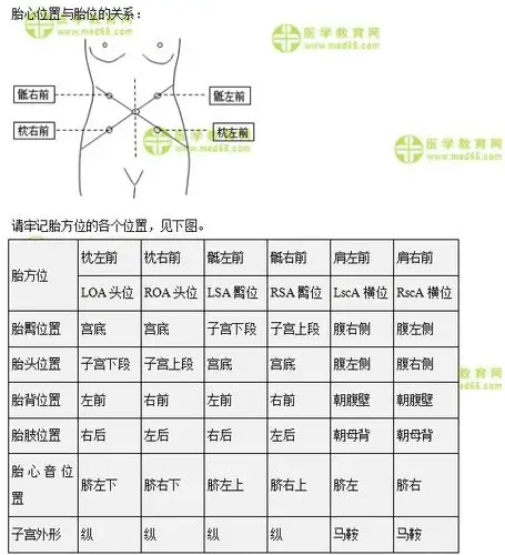 【解答】胎方位这块内容配图会比较好理解,如果没有图,建议在记忆的