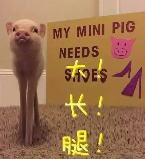 你应该用"猪"表扬她!