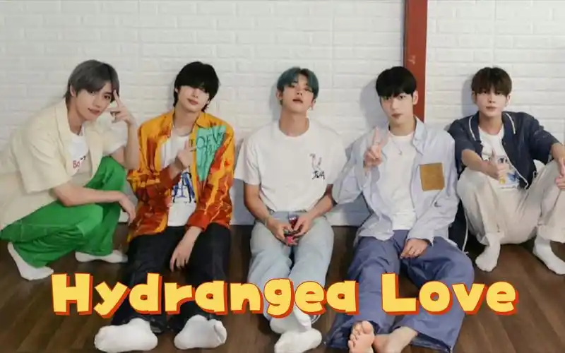 【推歌|韩国男团】txt《hydrangea love》