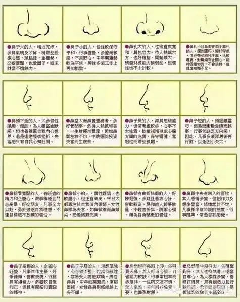 鼻子看面相男人 男人有福气的鼻子图片