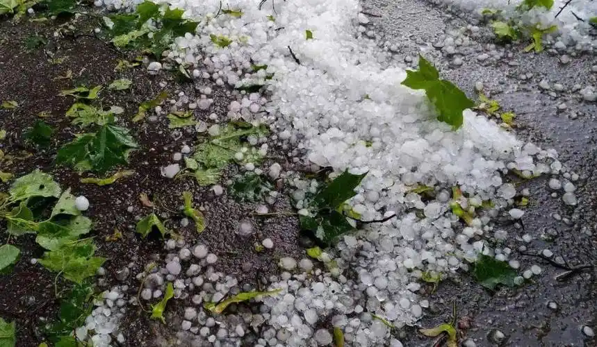 短时冰雹突袭!延庆区多部门积极应对_受灾_指导_天气