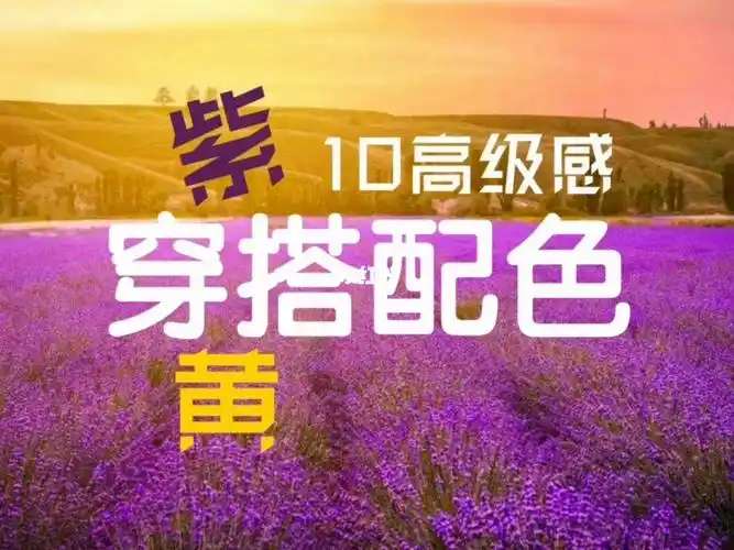 欢喜冤家紫配黄高级感穿搭配色