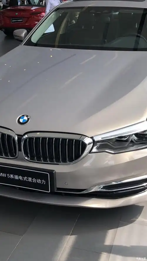 是这个颜色吧,销售跟我说是开斯米银,我都不知道还有个铂金银,你有