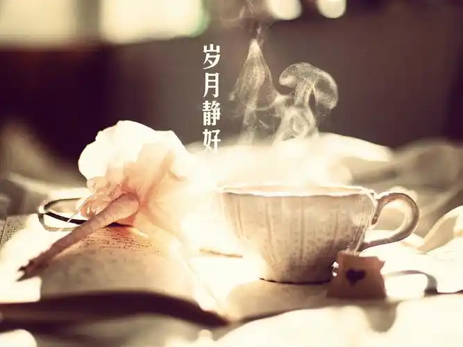 一切安好! - 堆糖,美图壁纸兴趣社区