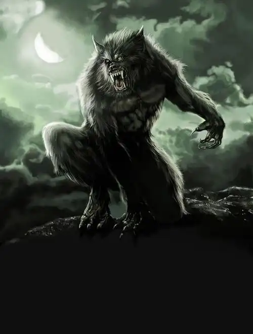 伤心笑的插画狼人