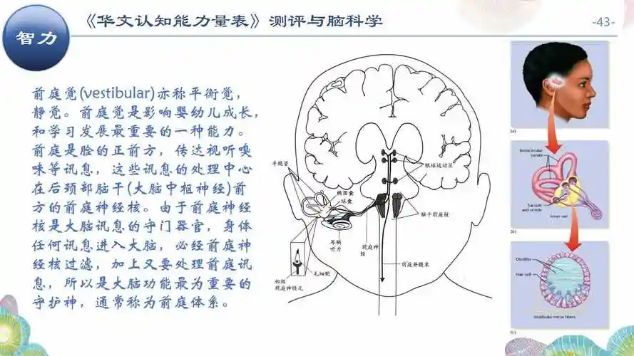 第二次课-23《华文认知能力量表》测评与脑科学 | 黄丽瑾