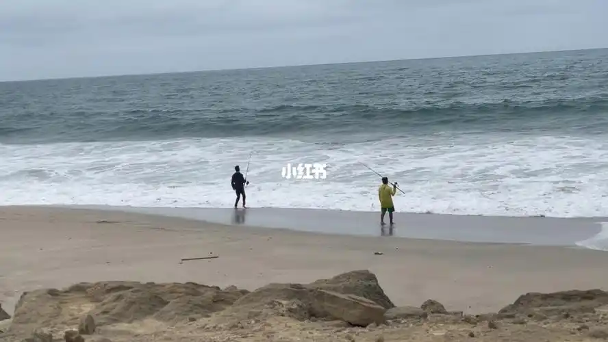 沙滩钓鱼