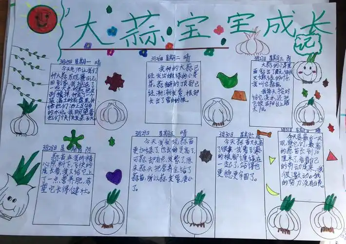 感受生命的期盼——三·一小荷花中队植物观察优秀作品展!