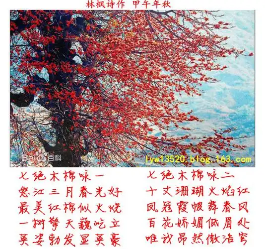 (原创)七绝——木棉咏两首