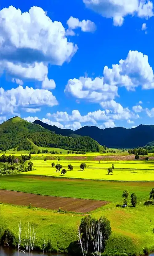 蓝天白云绿草地