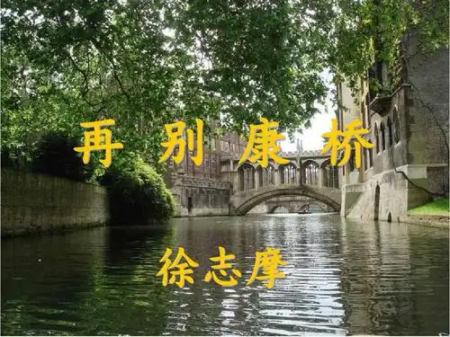 中职语文第3册第5单元知识点串讲:《再别康桥》,《致橡树》,《断章》