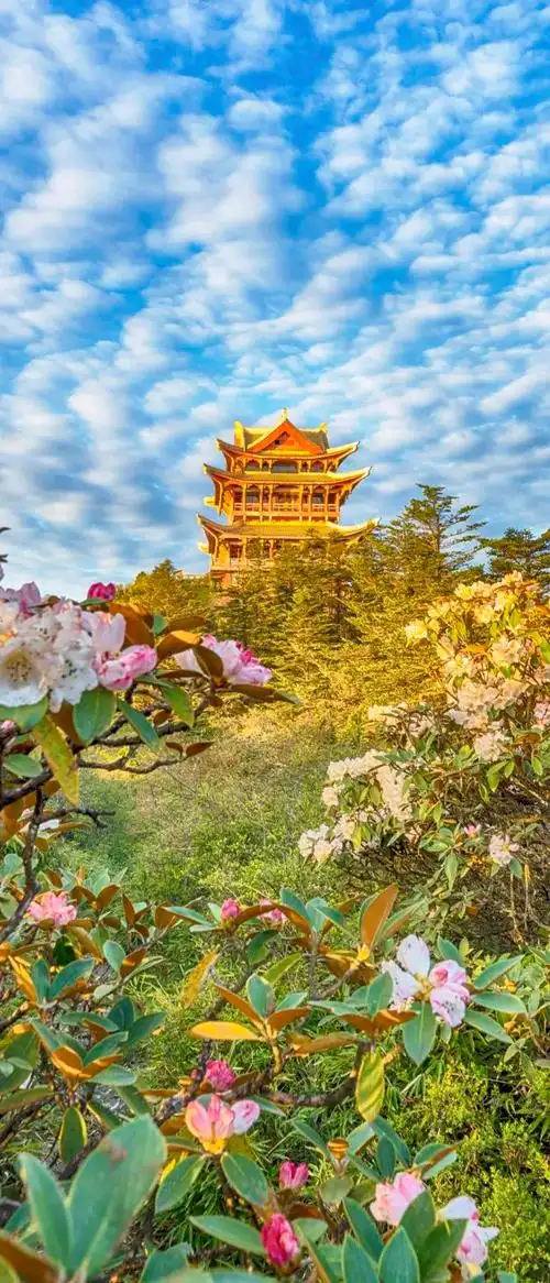 四川旅游必去十大景点推荐四川10个最美风景