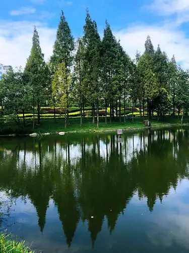 福州闽江公园·秋