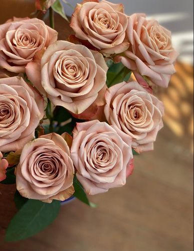 8洛神艾莎卡布奇诺玫瑰花鲜花花束云南基地直发速递同城520情人节已售