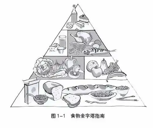 我已为减肥耗尽了人生