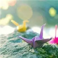 个性千纸鹤头像