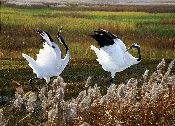 站图片_站图片大全_全景图片