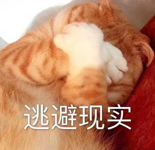 萌宠猫星人逃避现实拒绝搞怪呆萌gif动图_动态图_表情包下载_soogif