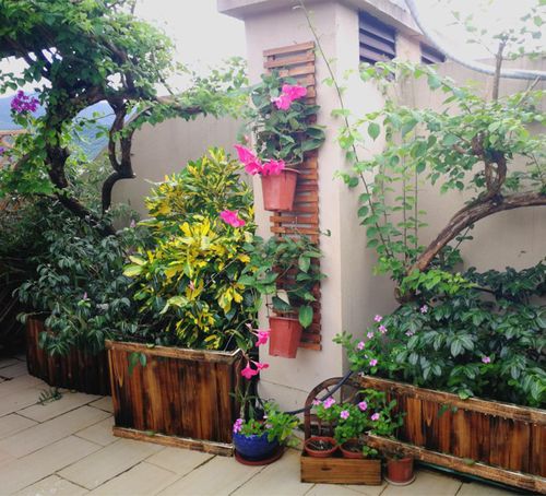 碳化防腐木花箱种植箱种树箱种树大花盆户外景观盆栽种植槽包邮