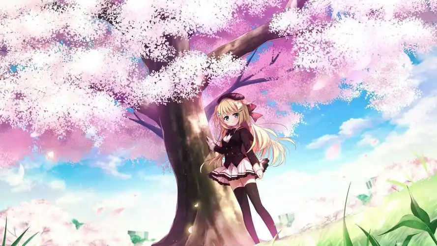樱花树下的二次元美女,动漫人物-回车桌面