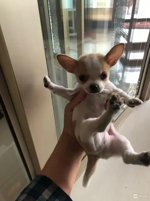 小丁纱窗的个人主页_108社区_108sq.cn