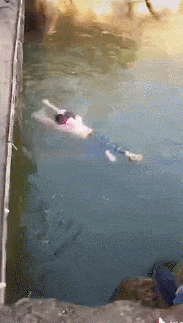 264_465竖版 竖屏gif 动态图 动图