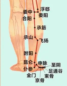 大腿外侧是什么经络沿内侧赤白肉际上行过内踝的