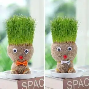 头上长草盆栽创意草娃娃种植种草小盆栽浇水头顶会长头发的植物