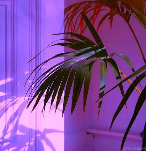 我们就是这么爱紫色purpleisthetrendypantonecolorof2018