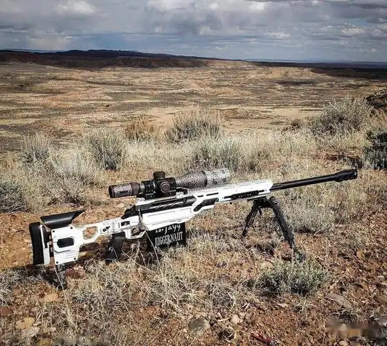 远程打击cadexdefence狙击步枪美图