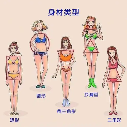 你是身材是什么形状