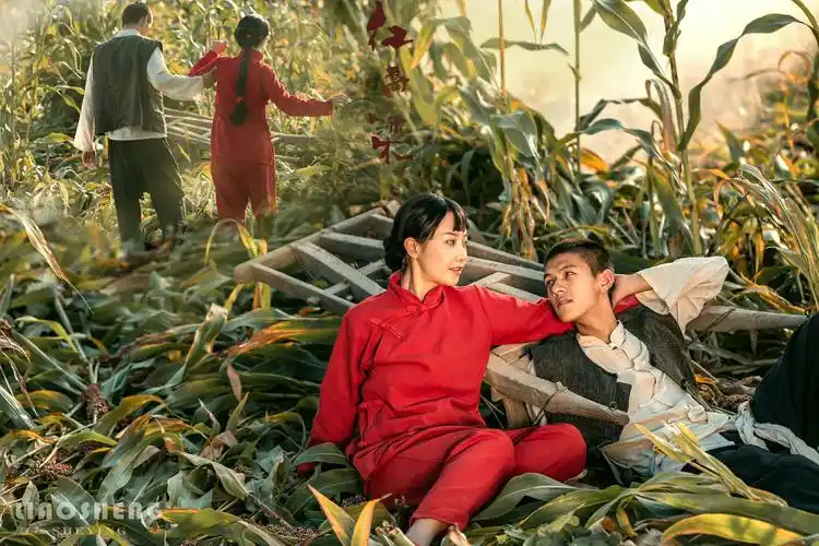 红高粱——根据电视剧(红高粱剧情拍摄)