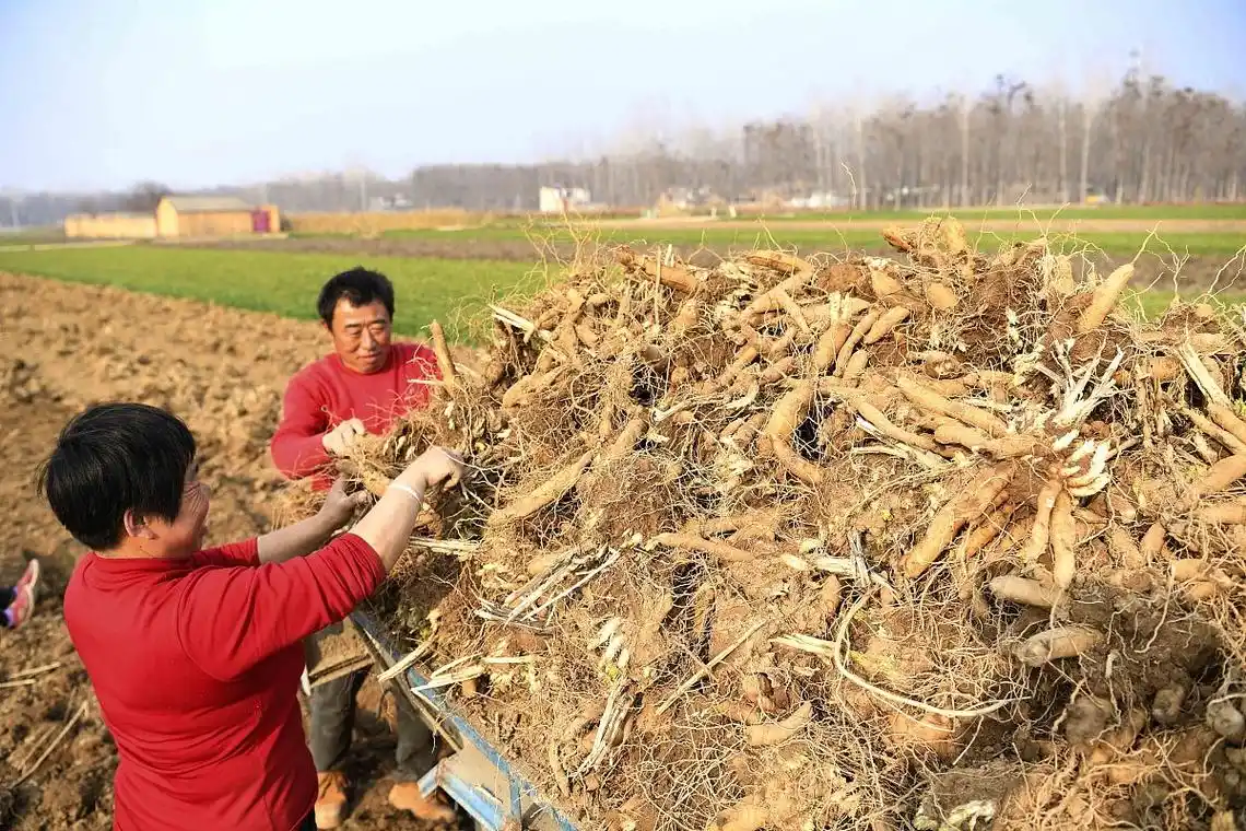 著名中医班秀文,一个方子看好子宫肌瘤,值得大家收藏