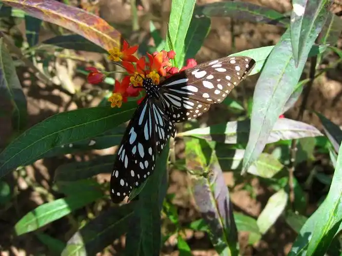 03 美丽的云南(新增)