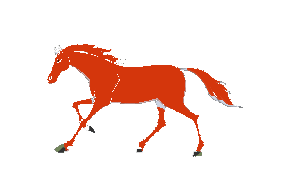 【制作素材】gif格式各种奔跑的马 - 秋思梦景 - 秋思梦景博客