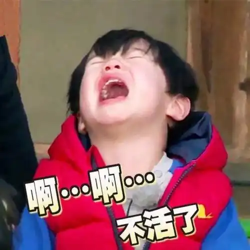 啊 不活了